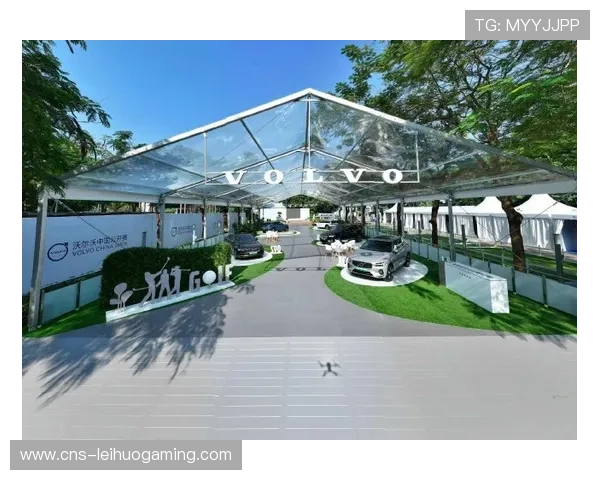 动态定价模型在票务销售中应用，提升赛事上座率与收入